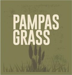 PAMPAS GRASS