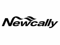 NEWCALLY