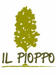 IL PIOPPO