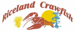 RICELAND CRAWFISH