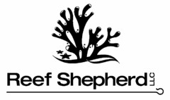 REEF SHEPHERD LLC