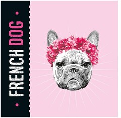 · FRENCH DOG ·