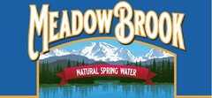 MEADOW BROOK NATURAL SPRING WATER