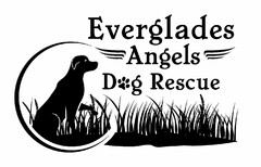 EVERGLADES ANGELS DOG RESCUE