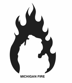 MICHIGAN FIRE