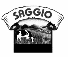 SAGGIO MADE IN WISCONSIN