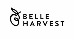 BELLE HARVEST