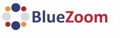 BLUEZOOM