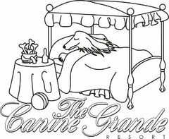 THE CANINE GRANDE RESORT