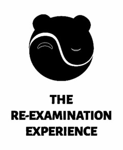 THE RE-EXAMINATION EXPERIENCE