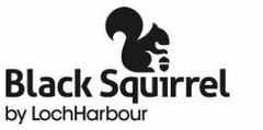 BLACK SQUIRREL BY LOCHHARBOUR