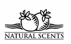 NATURAL SCENTS