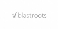 BLASTROOTS