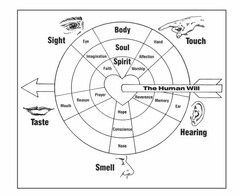 BODY SOUL SPIRIT TOUCH HAND AFFECTION WORSHIP HEARING EAR MEMORY REVERENCE SMELL NOSE CONSCIENCE HOPE TASTE MOUTH REASON PRAYER SIGHT EYE IMAGINATION FAITH THE HUMAN WILL