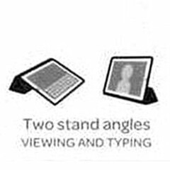TWO STAND ANGLES VIEWING AND TYPING