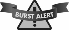 BURST ALERT !