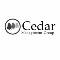 CEDAR MANAGEMENT GROUP