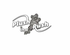 PLUSH IN A RUSH