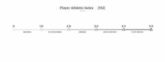 PLAYER ATHLETIC INDEX (PAI) 0 1.0 2.0 3.0 4.0 5.0 MARGINAL BELOW AVERAGE AVERAGE ABOVE AVERAGE OUTSTANDING