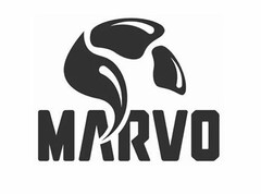 MARVO