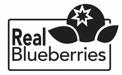 REAL BLUEBERRIES