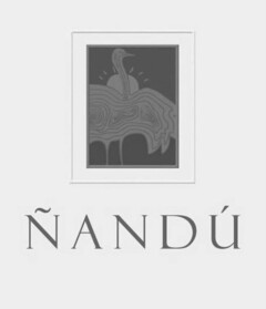 ÑANDÚ