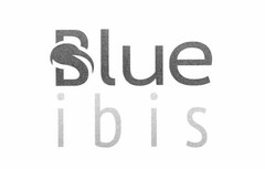 BLUE IBIS