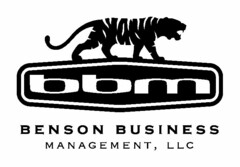 BBM BENSON BUSINESS MANAGEMENT, LLC