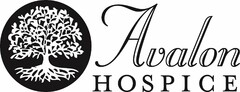 AVALON HOSPICE