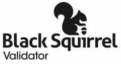 BLACK SQUIRREL VALIDATOR