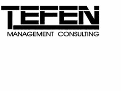 TEFEN MANAGEMENT CONSULTING