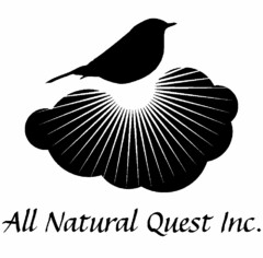 ALL NATURAL QUEST INC.