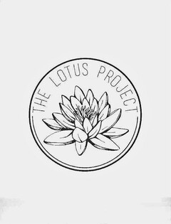 THE LOTUS PROJECT