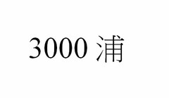 3000