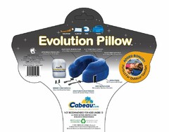 EVOLUTION PILLOW