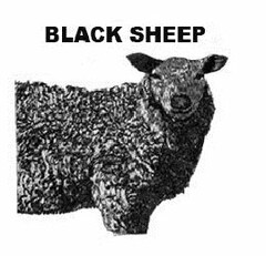 BLACK SHEEP