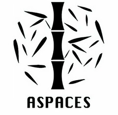 ASPACES