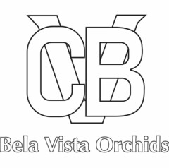 CBV BELA VISTA ORCHIDS