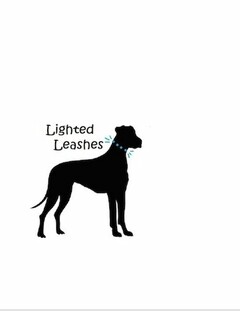 LIGHTED LEASHES