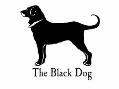 THE BLACK DOG