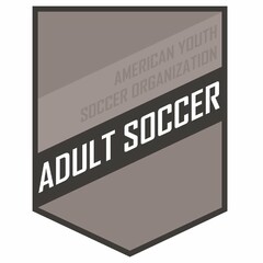 AMERICAN YOUTH SOCCER ORGANIZATION ADULT SOCCER