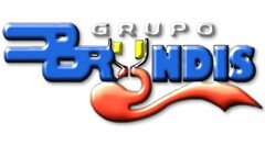 GRUPO BRYNDIS