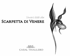 VENERE'S LITTLE SHOE SCARPETTA DI VENERE CASAL THAULERO