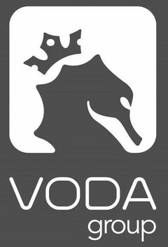 VODA GROUP