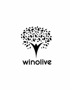 WINOLIVE