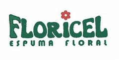 FLORICEL ESPUMA FLORAL