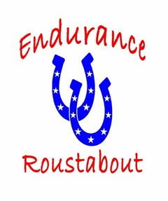 ENDURANCE ROUSTABOUT