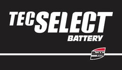 TECSELECT BATTERY MIGHTY AUTO PARTS