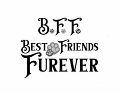 BFF BEST FRIENDS FUREVER