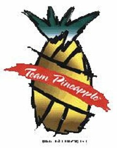 TEAM PINEAPPLE